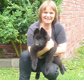 Blue Ocean de Geracao nova